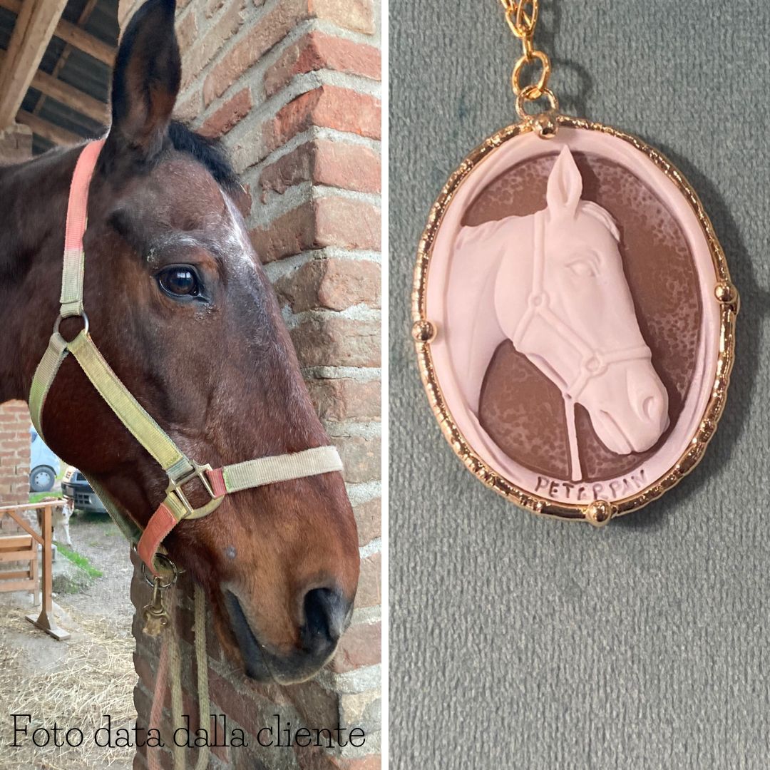 Il cavallo è un animale maestoso