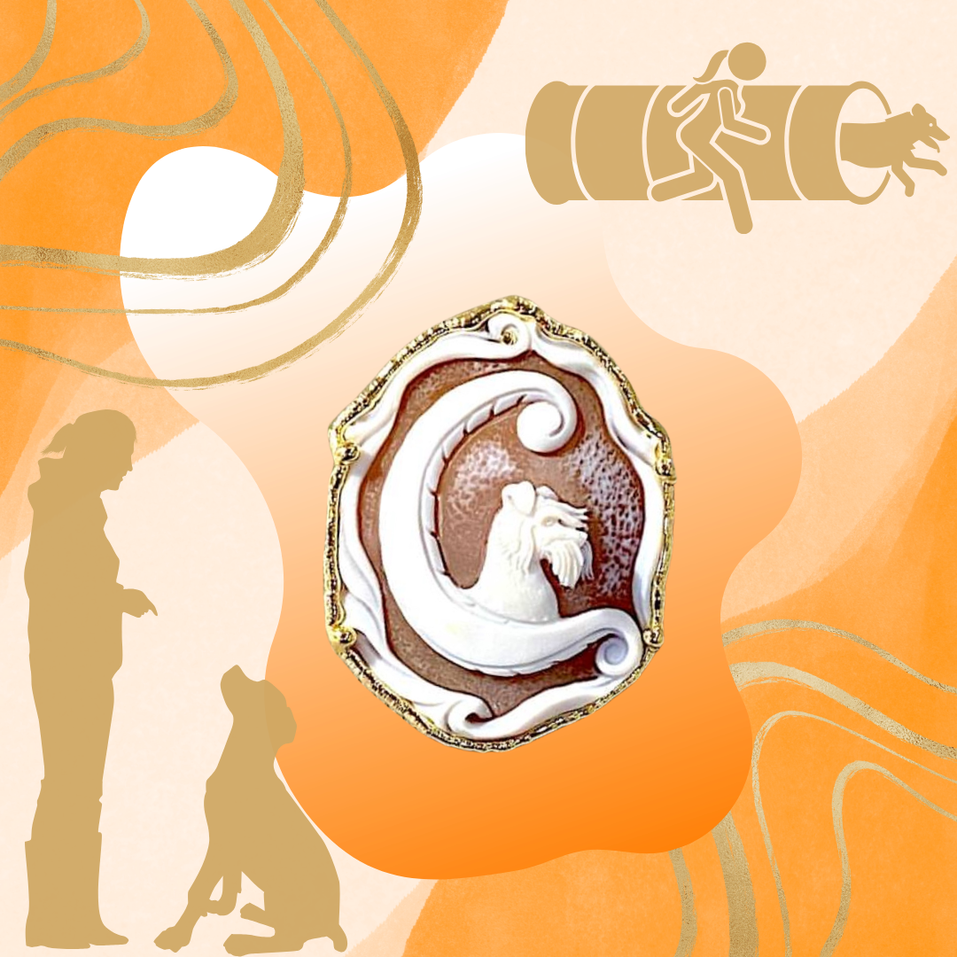 La bellezza dei gioielli nelle gare cani