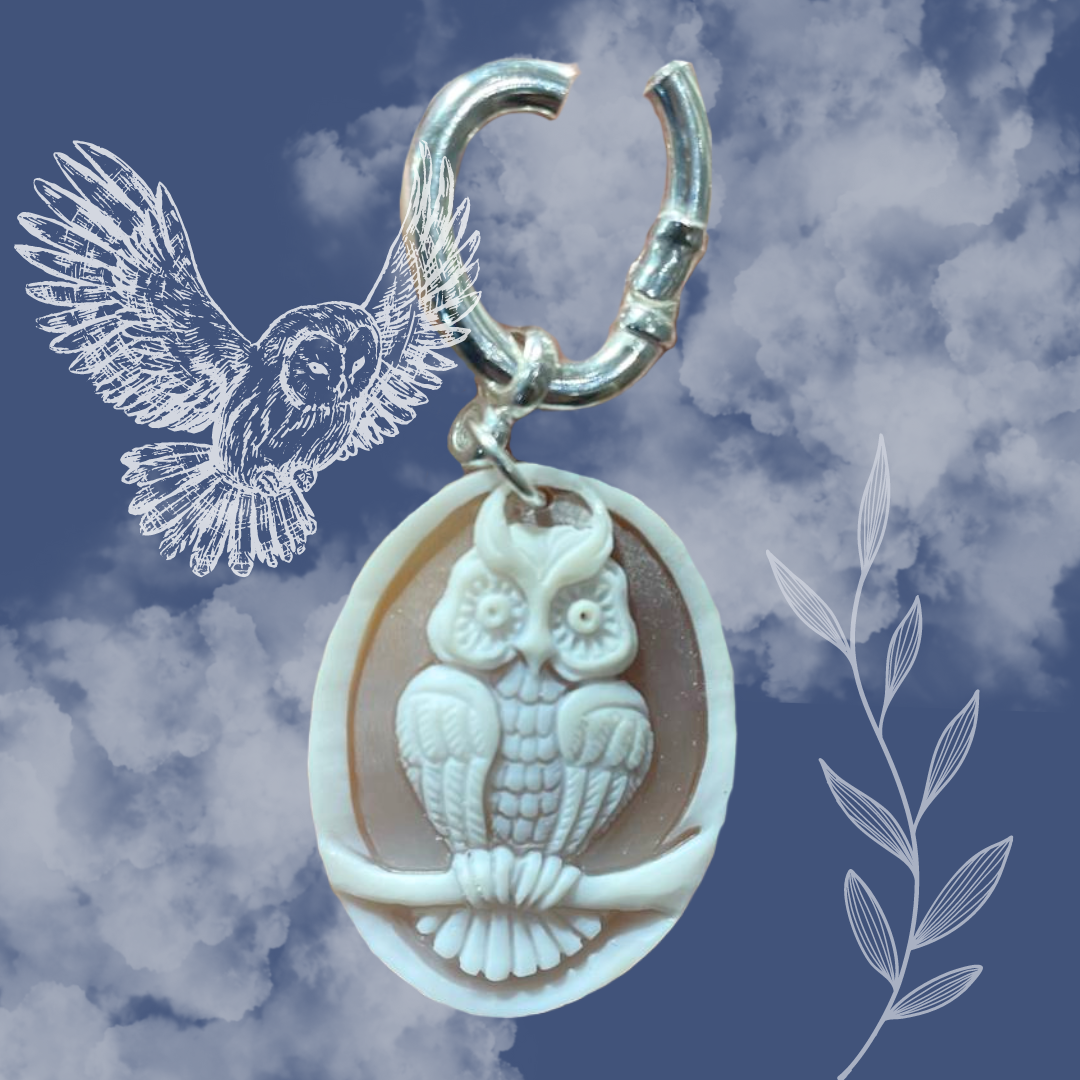 Un'Elegante Unione di Amicizia e Stile: L'Apertura del Negozio "La Civetta"