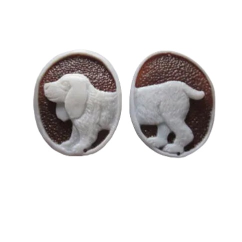 Cocker spaniel inglese