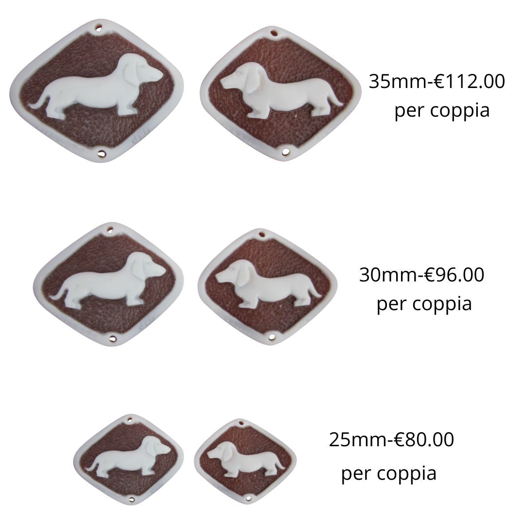 Bassotto Nano a pelo corto