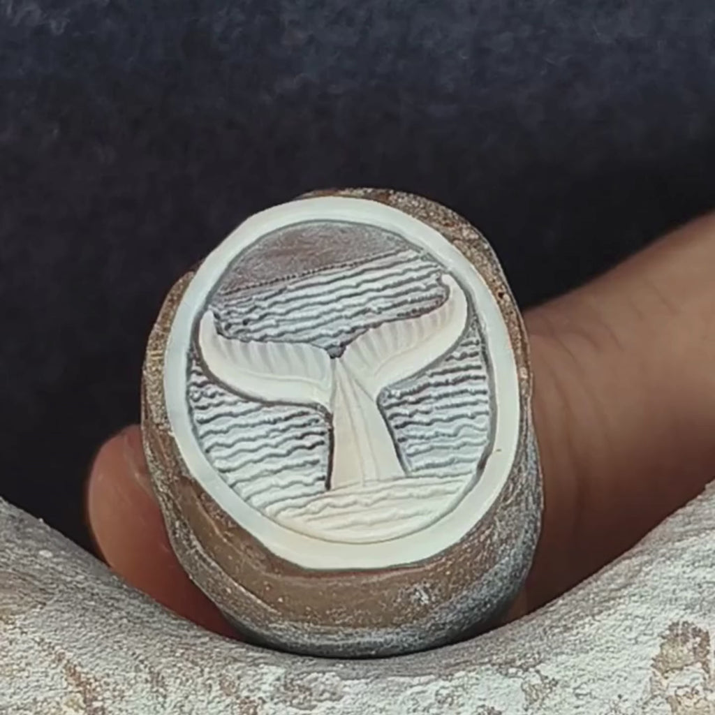Coda di balena