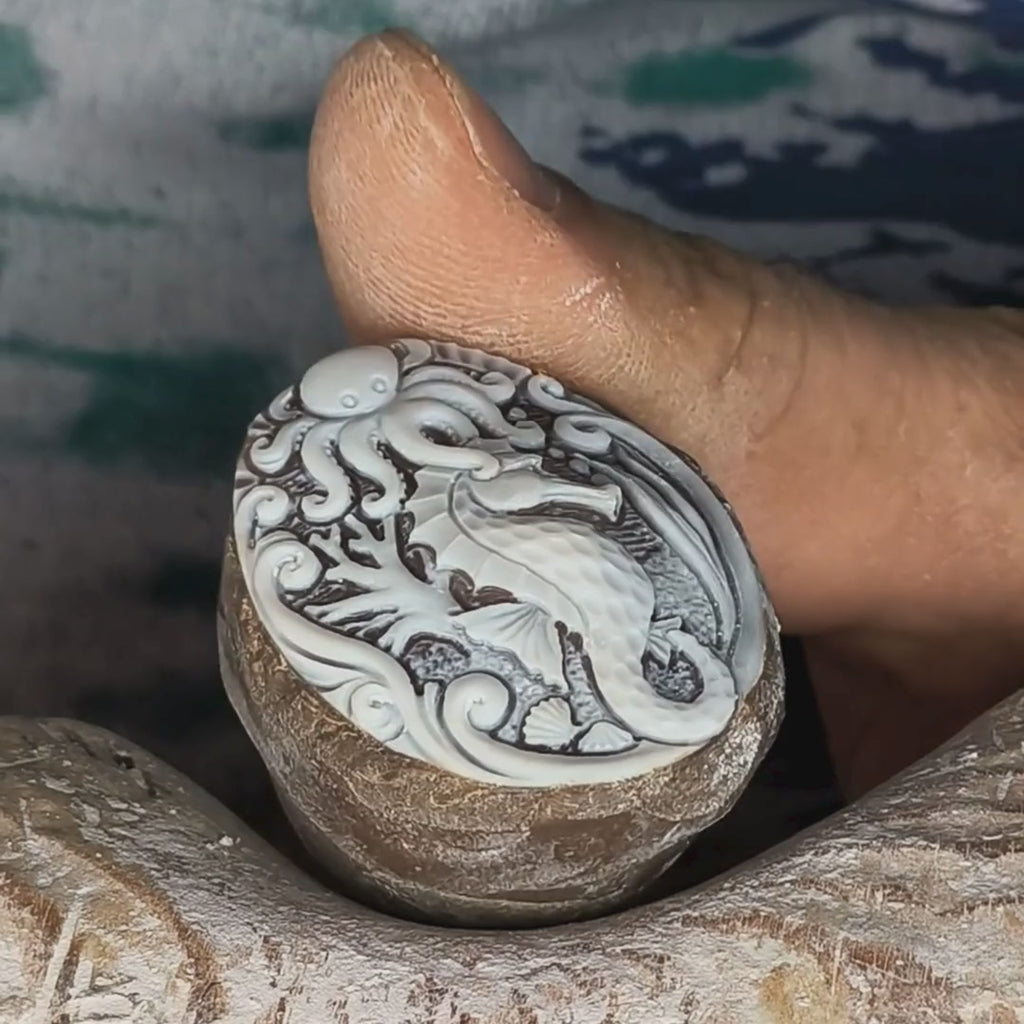 Cavalluccio marino