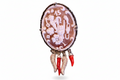 anello-cammeo-fortuna-charms-corni
